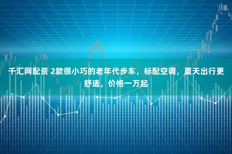 千汇网配资 2款很小巧的老年代步车，标配空调，夏天出行更舒适，价格一万起