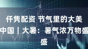 仟隽配资 节气里的大美中国|大暑:暑气浓万物盛