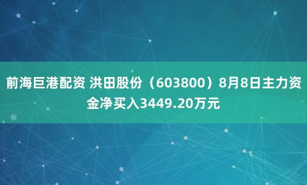 前海巨港配资 洪田股份（603800）8月8日主力资金净买入3449.20万元