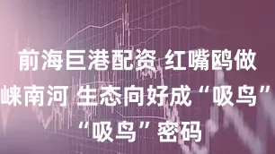 前海巨港配资 红嘴鸥做客邛崃南河 生态向好成“吸鸟”密码